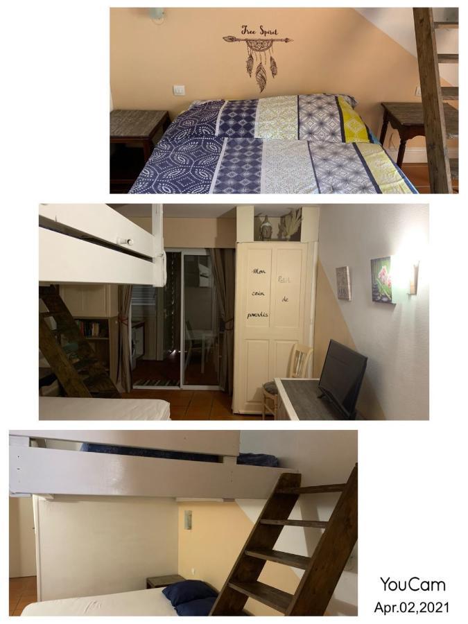 Corail Rez De Jardin Appartement *