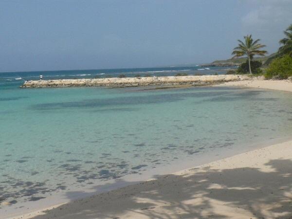 Appartement Corail Rez De Jardin *