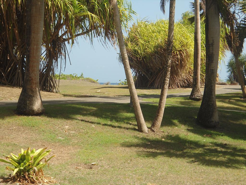 Corail Rez De Jardin *