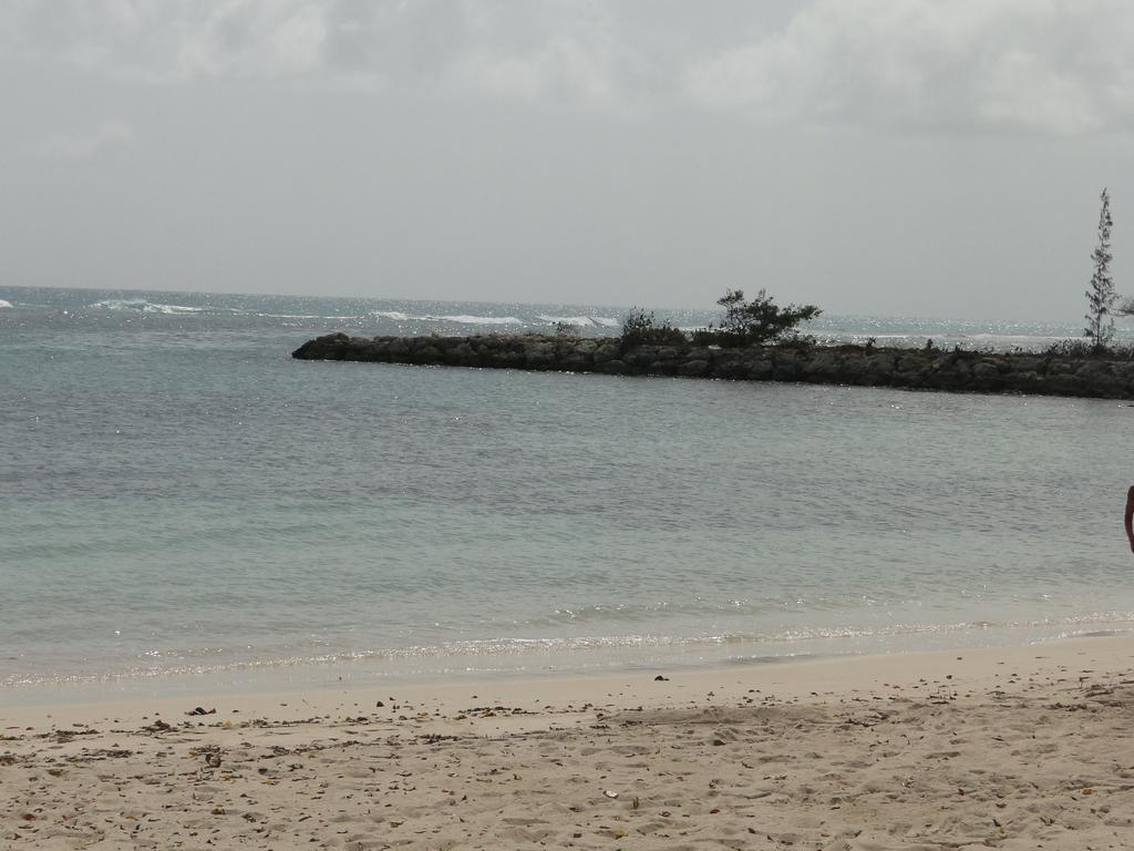 Appartement Corail Rez De Jardin