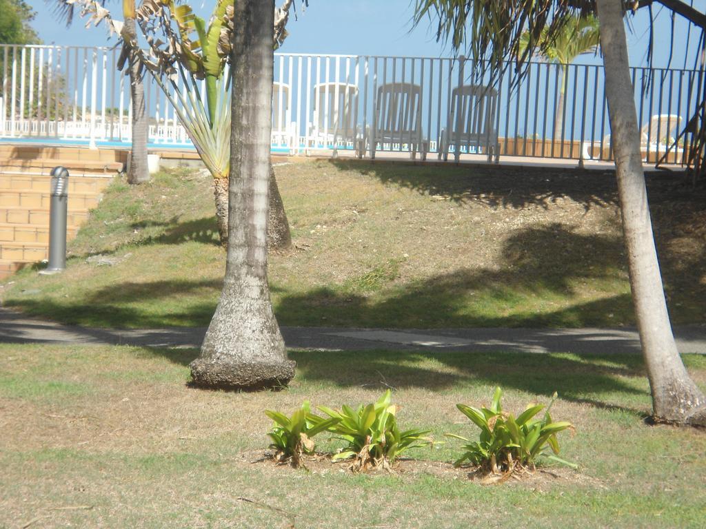 Apartment Corail Rez De Jardin Saint-Francois (Grande-Terre)